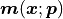 \bm{m}(\bm{x}; \bm{p})